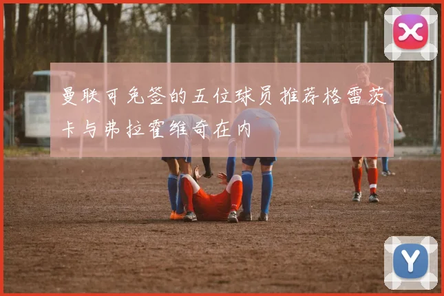 曼联可免签的五位球员推荐格雷茨卡与弗拉霍维奇在内