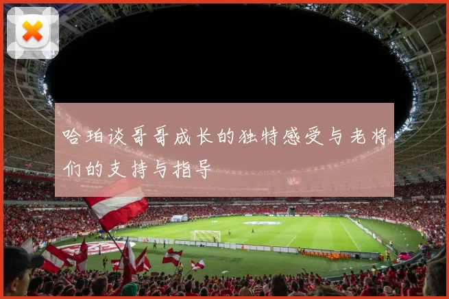 哈珀谈哥哥成长的独特感受与老将们的支持与指导