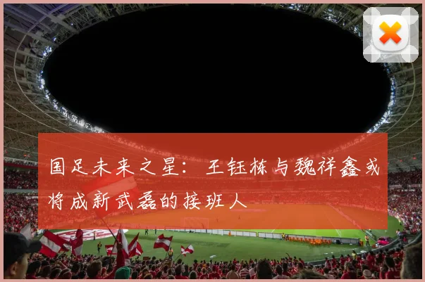 国足未来之星：王钰栋与魏祥鑫或将成新武磊的接班人